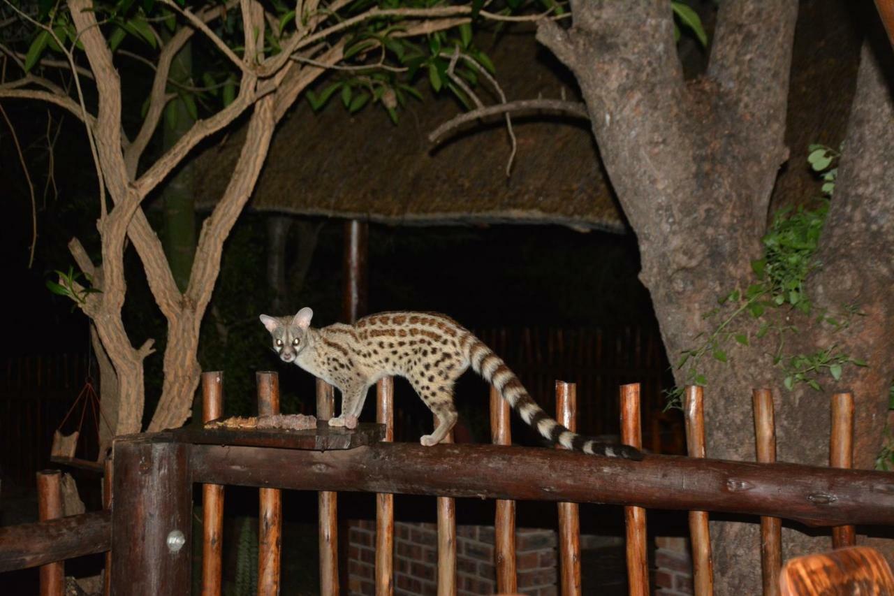 Bona Ngwenya Lodge & Safaris Марлот Парк Екстериор снимка